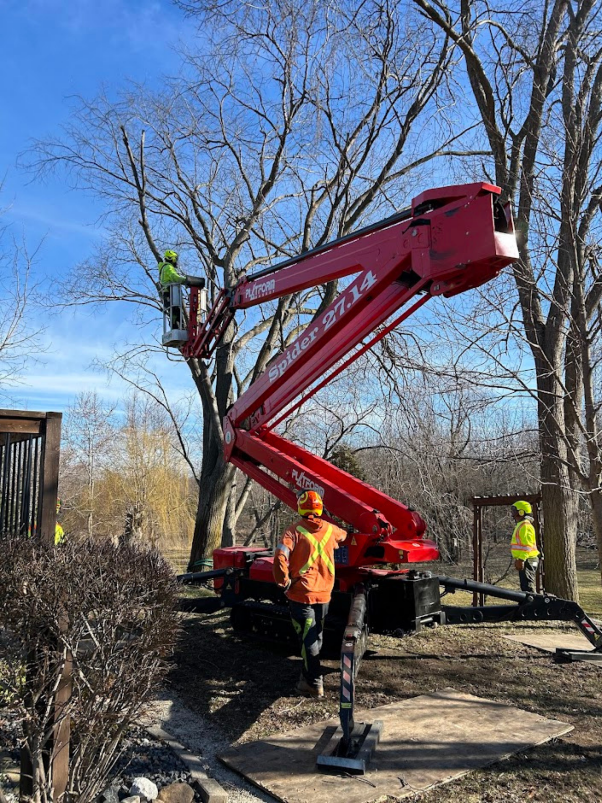 Arquette Large Tree Removal service in Chatham-Kent and Windsor-Essex